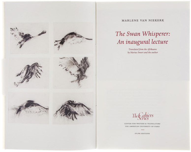 C25 The Swan Whisperer